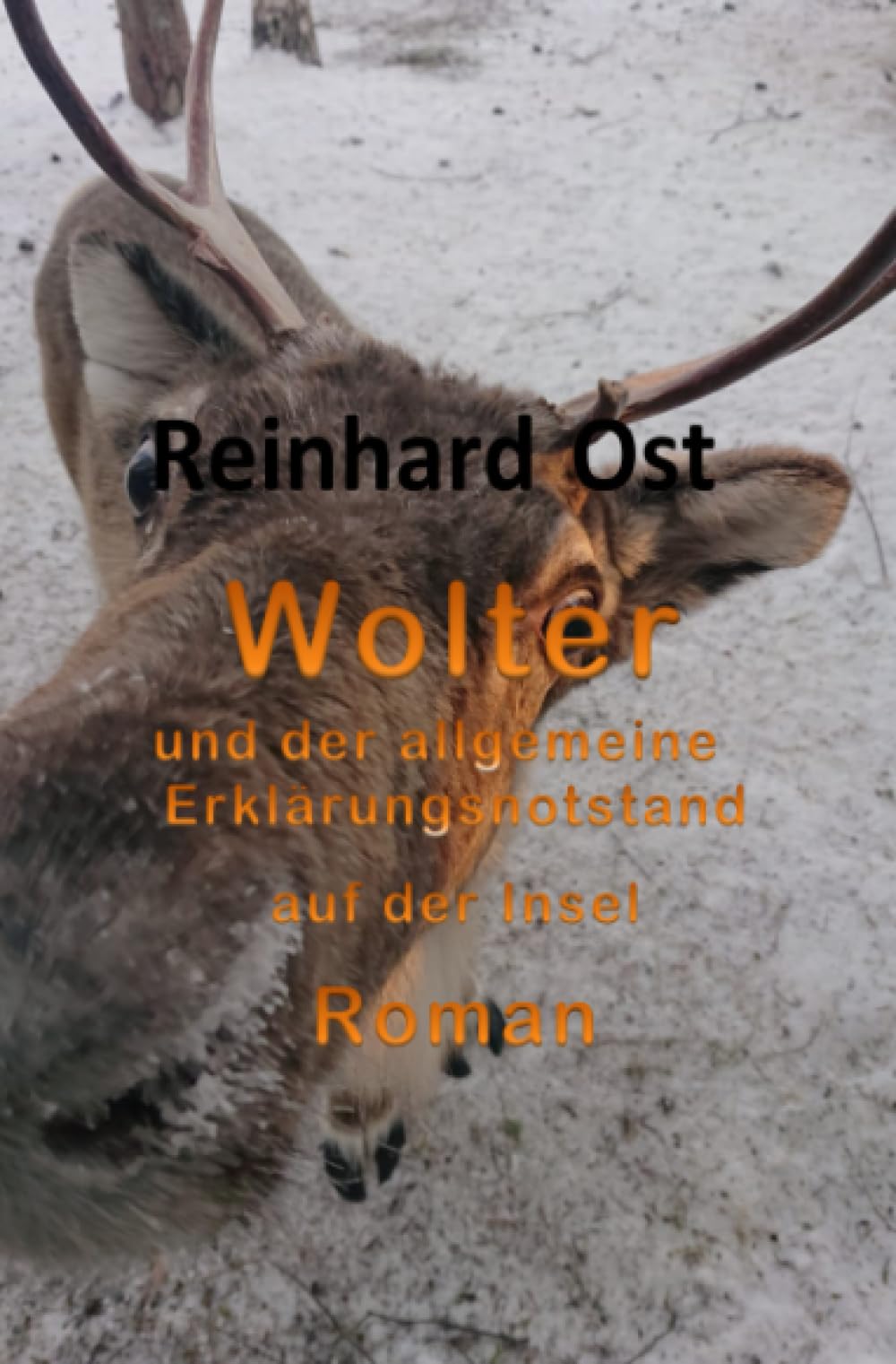 Wolter: und der allgemeine Erklärungsnotstand auf der Insel Historical Fiction