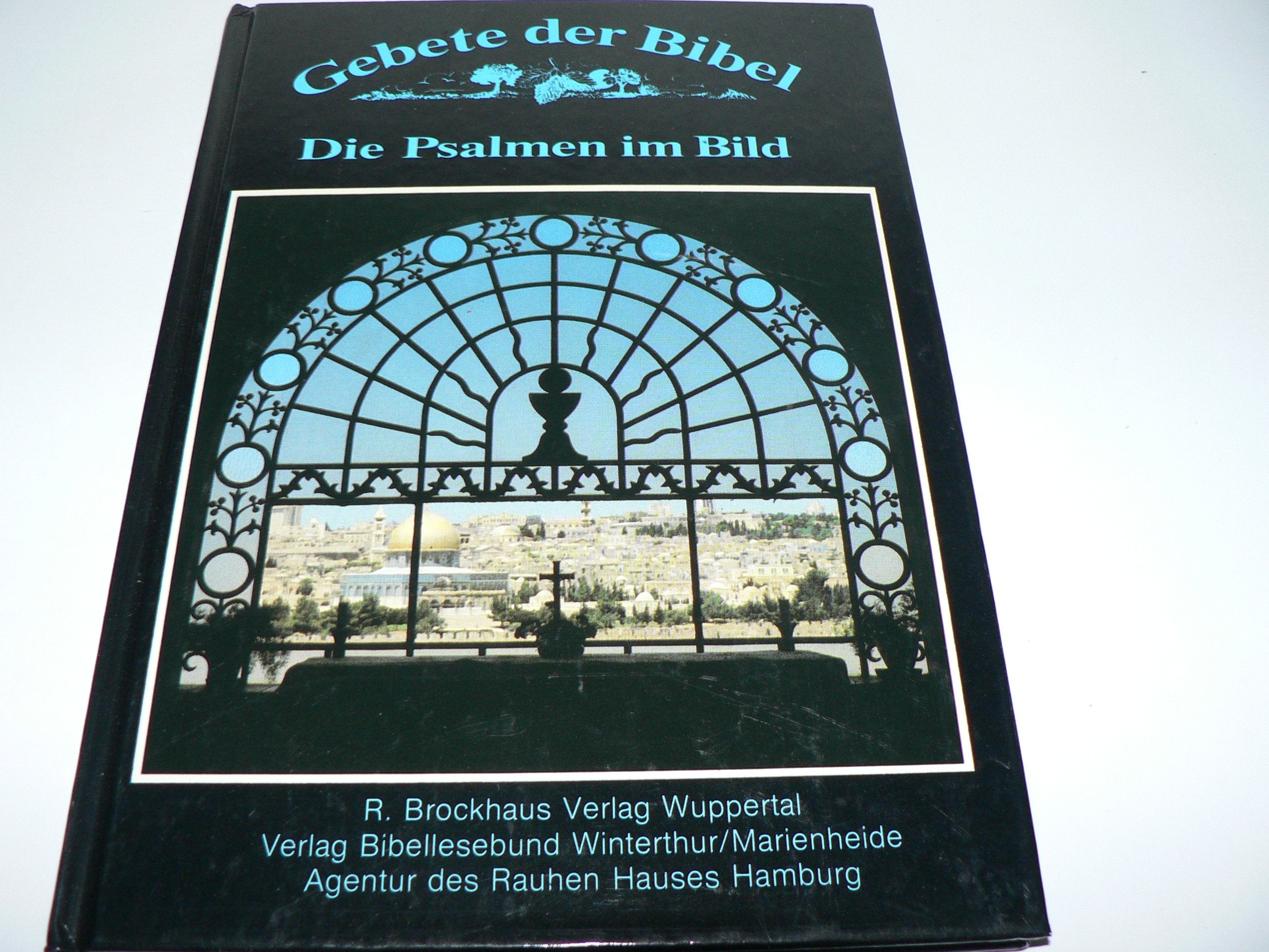 Gebete der Bibel III. Die Psalmen 76-111. Die Psalmen im Bild Books