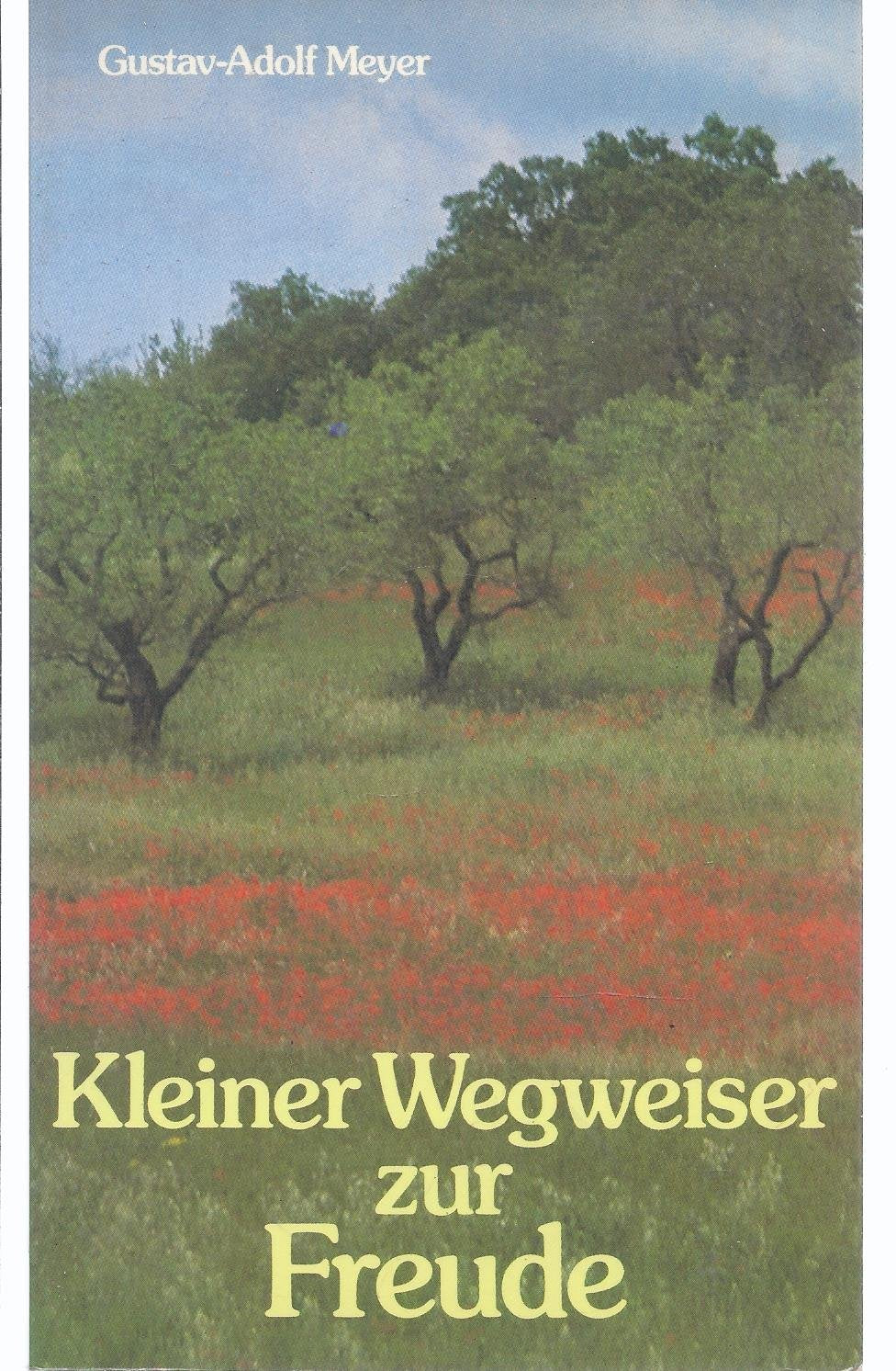 Kleiner Wegweiser zur Freude. Grossdruck Fiction