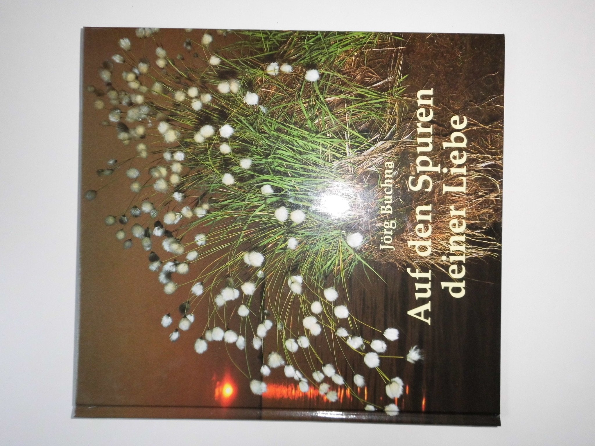 Auf den Spuren deiner Liebe. Bildmeditationen General education