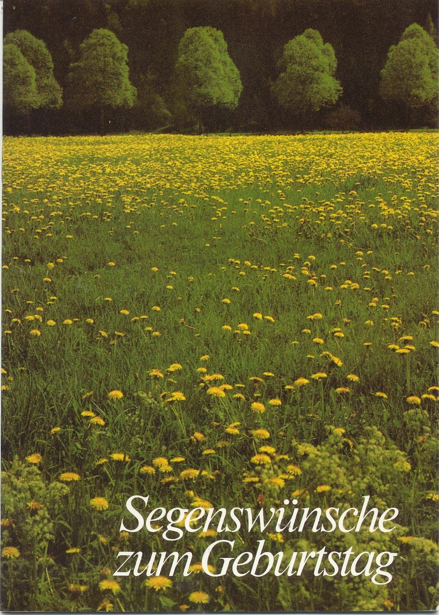 Segenswünsche zum Geburtstag (Fundus-Reihe) Books