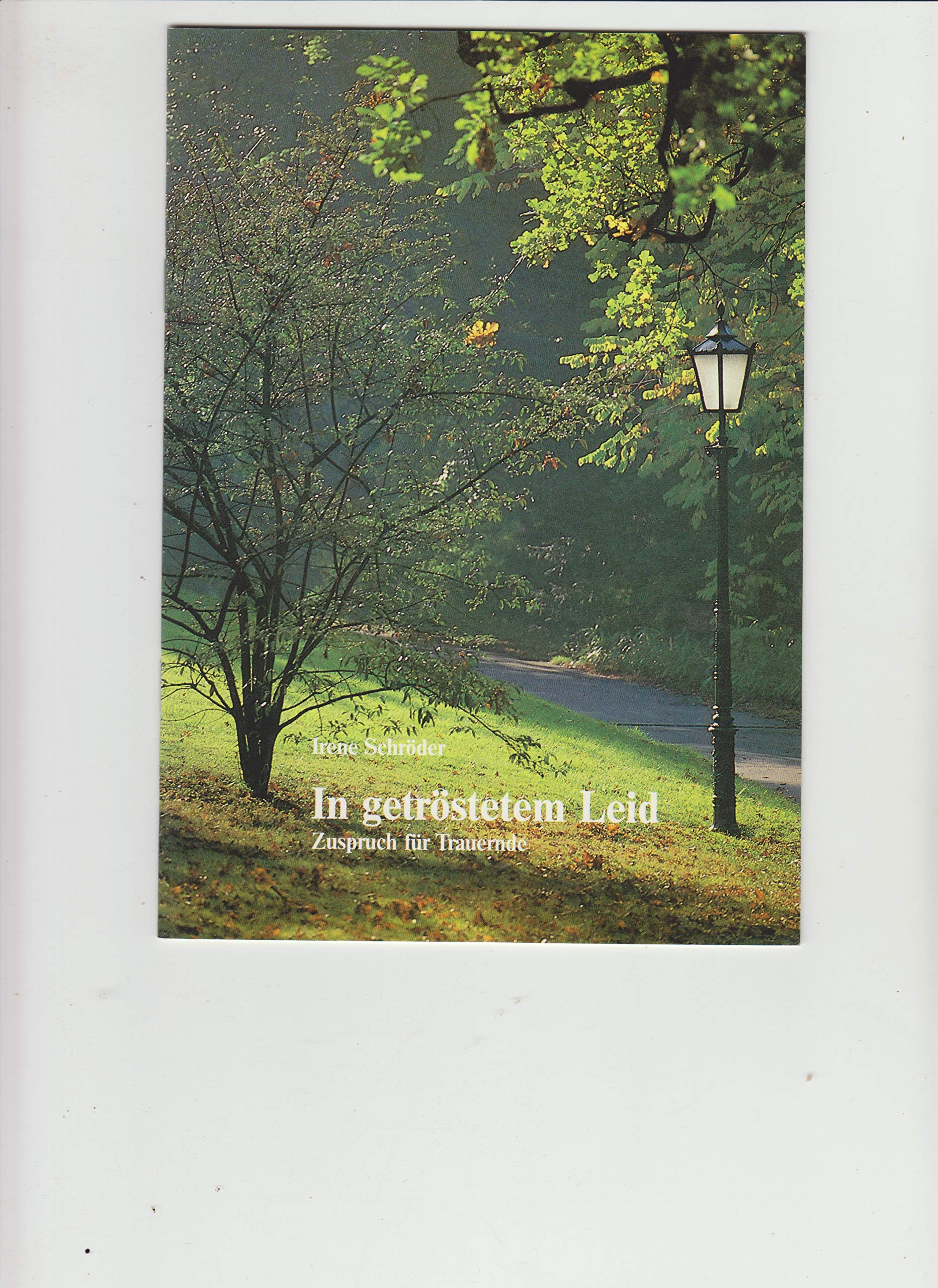 In getröstetem Leid: Zuspruch für Trauernde (Fundus-Reihe) Books