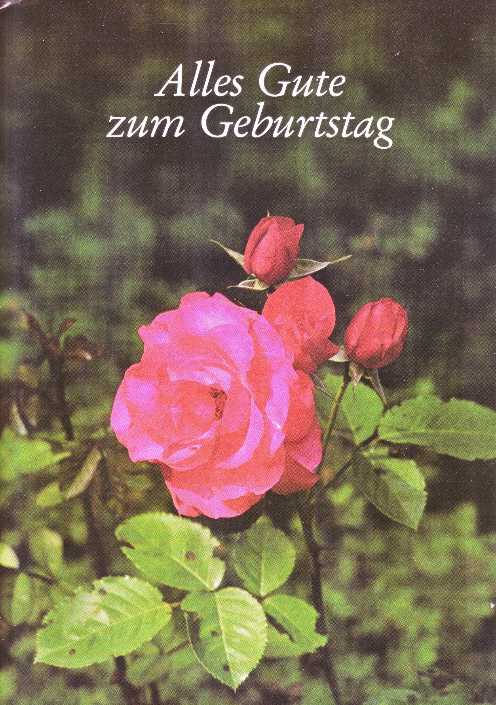 Alles Gute zum Geburtstag (Fundus-Reihe) Books