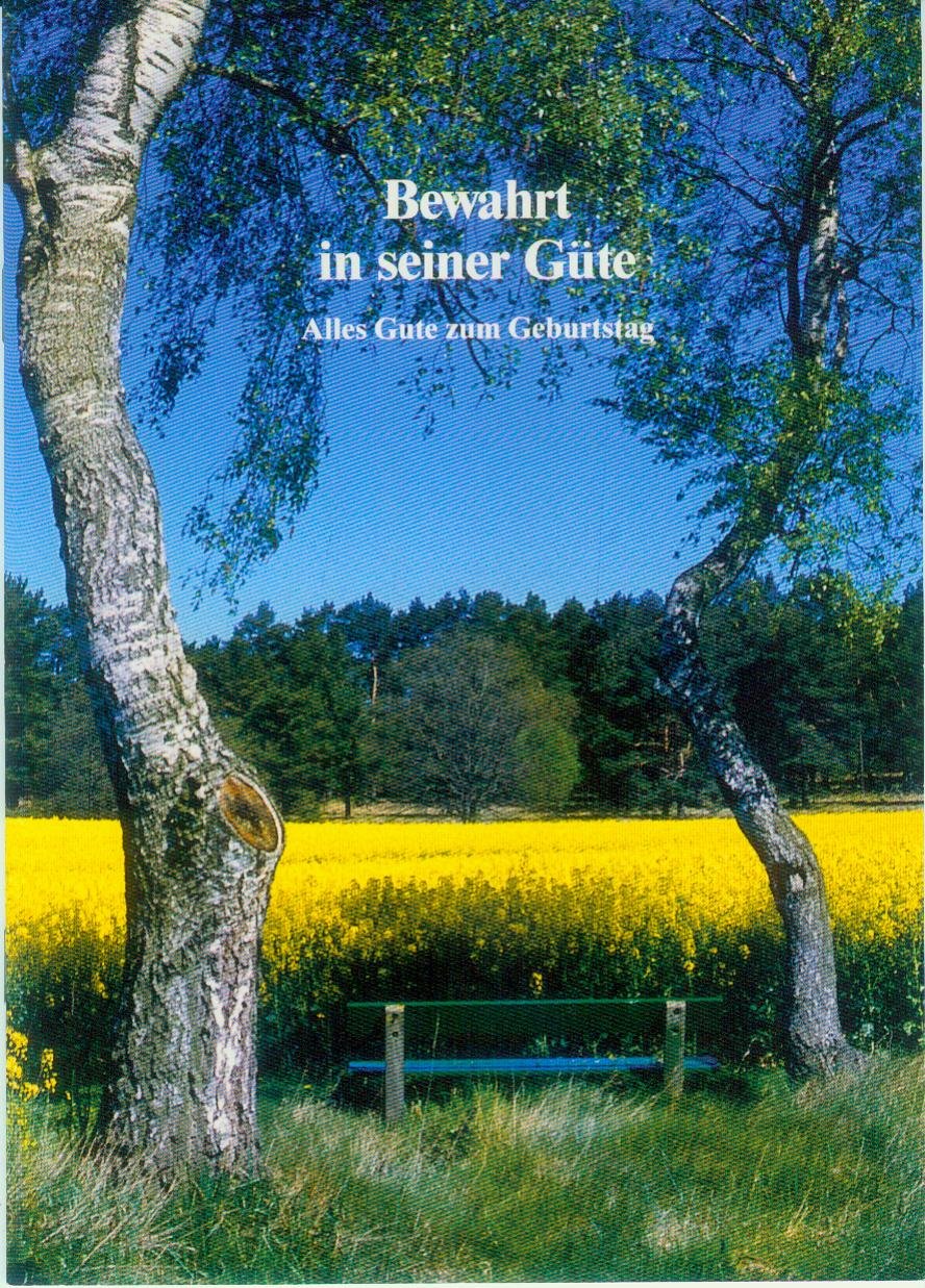 Bewahrt in seiner Güte: Alles Gute zum Geburtstag (Fundus-Reihe) Books