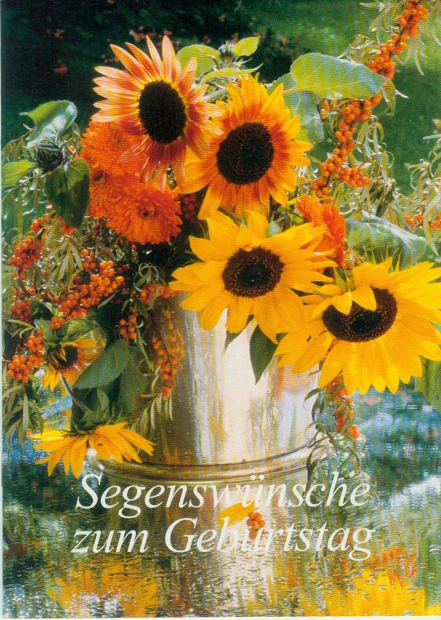 Segenswünsche zum Geburtstag (Fundus-Reihe) Books
