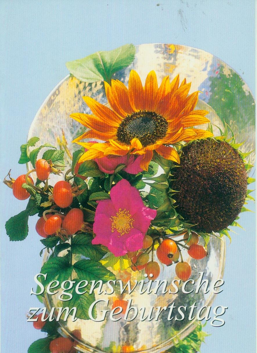 Segenswünsche zum Geburtstag (Fundus-Reihe) Books