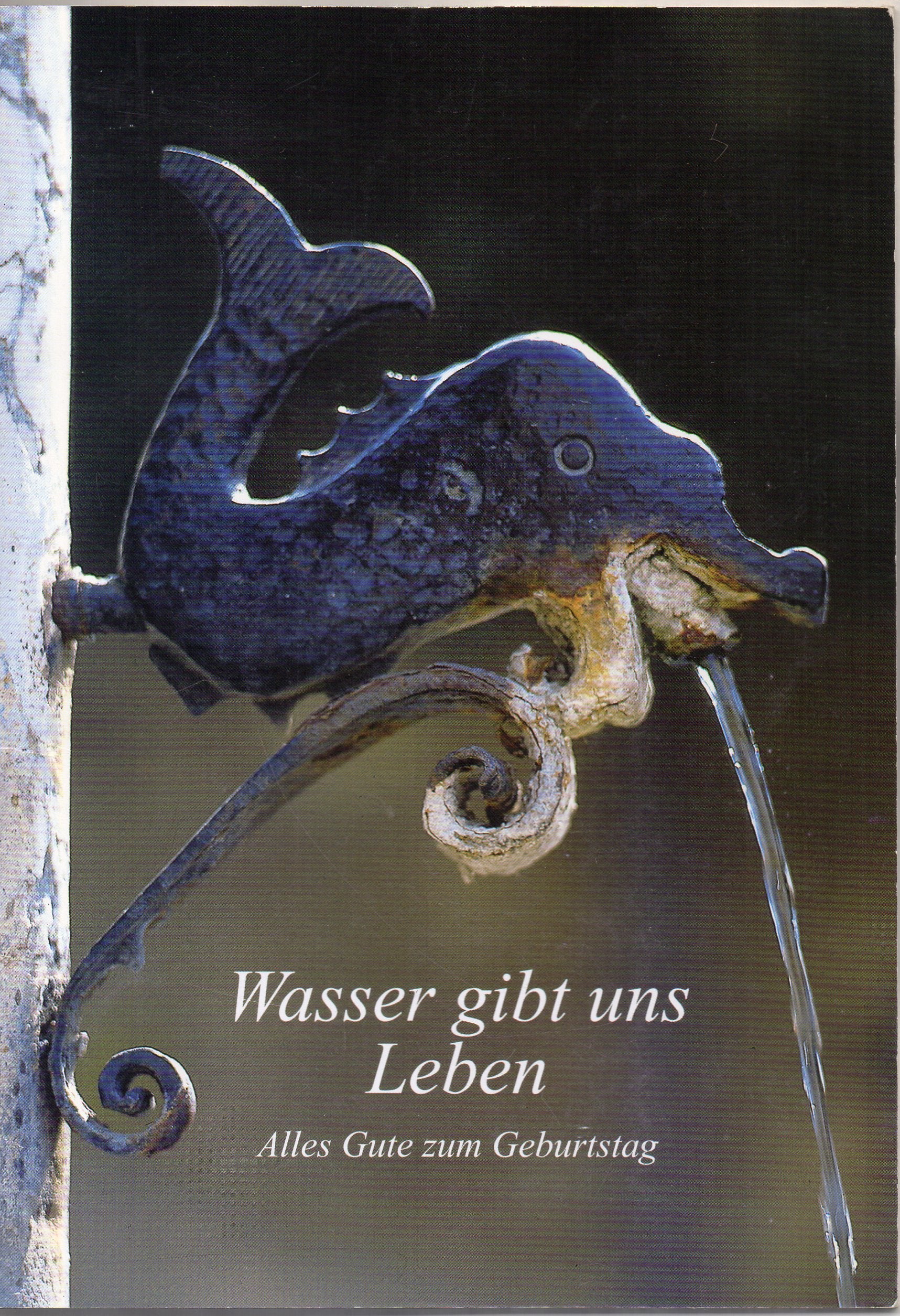 Wasser gibt uns Leben: Ein Gruss zum Geburtstag (Fundus-Reihe) Books