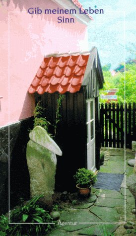 Gib meinem Leben Sinn. Großdruck. Neue Gebete Fiction