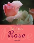 Product Image: Blühen wie eine Rose