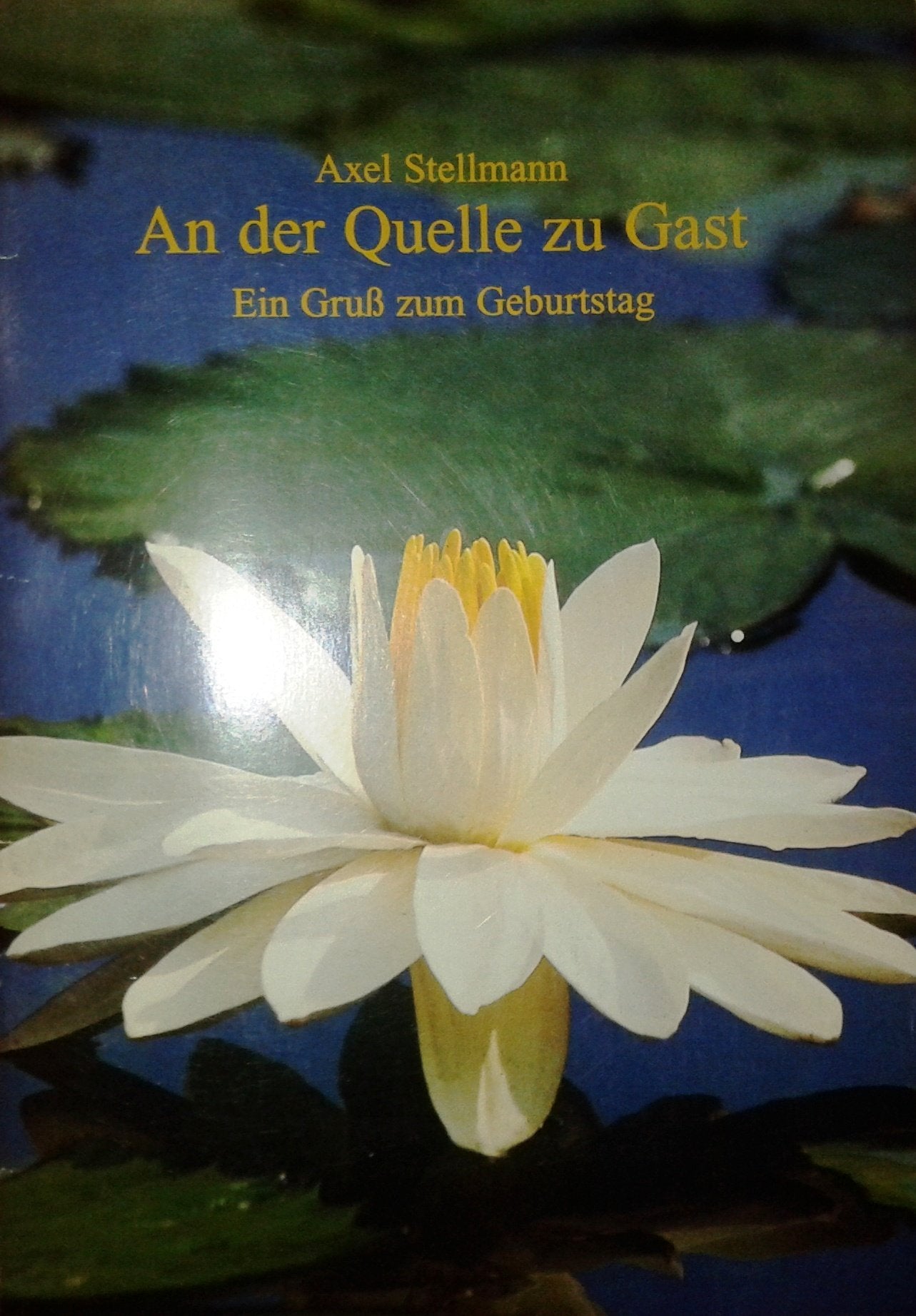 An der Quelle zu Gast: Grüsse zum Geburtstag (Fundus-Reihe) Books
