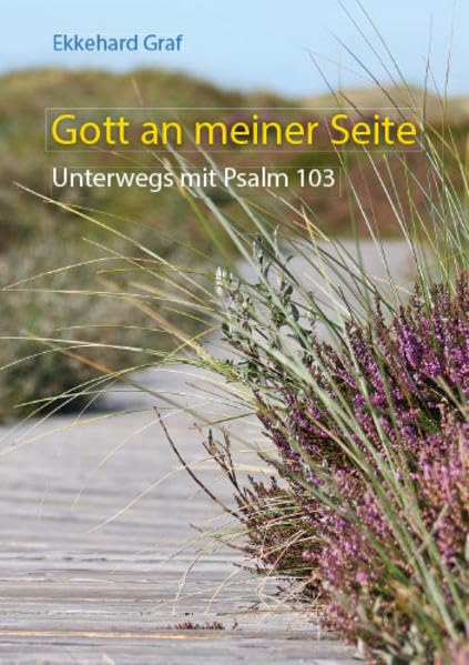 Gott an meiner Seite: Unterwegs mit Psalm 103 (Fundus-Reihe) Religion & Esotericism