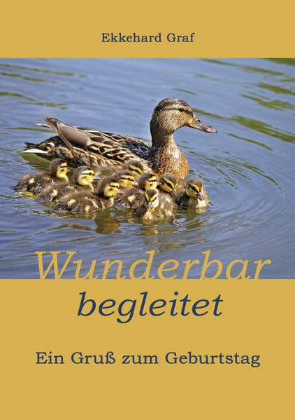 Wunderbar begleitet: Ein Gruß zum Geburtstag (Fundus-Reihe) Religion & Esotericism