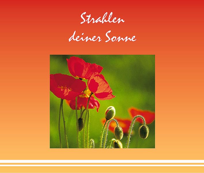 Strahlen deiner Sonne: Alles Gute zum Geburtstag Lifestyle