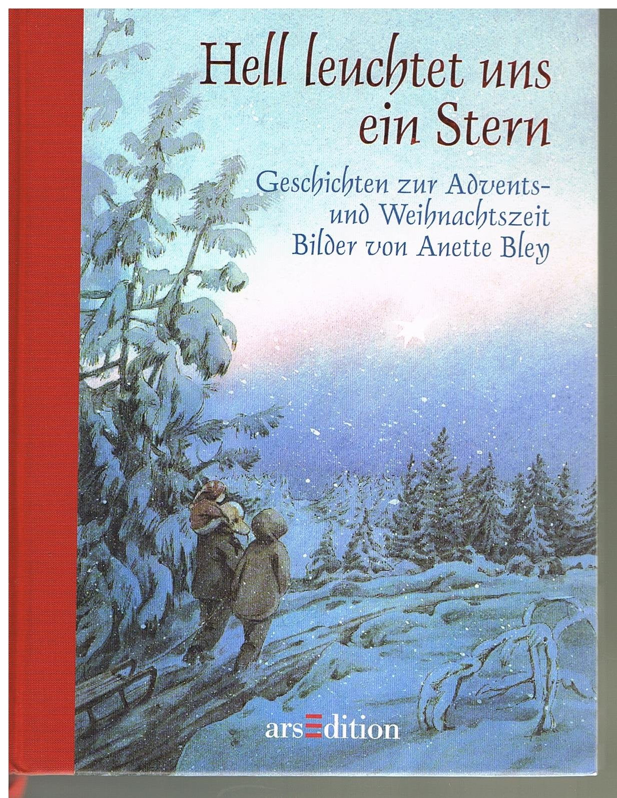 Hell leuchtet uns ein Stern: Geschichten zur Advents- und Weihnachtszeit. Nach den Regeln der neuen Rechtschreibung Novels & Short Stories