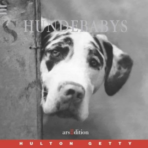 Product Image: Hundebabys (Hulton Getty)