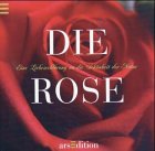 Die Rose: Eine Liebeserklärung an die Schönheit der Natur Lifestyle