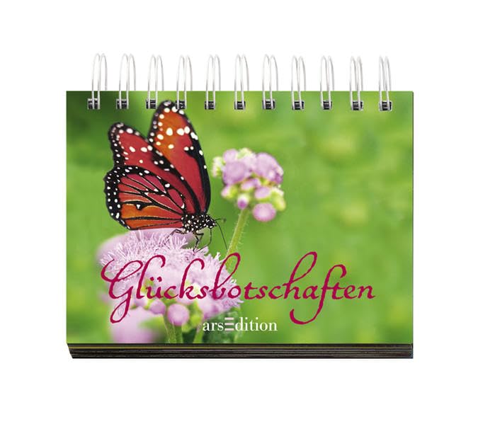 Glücksbotschaften: Aufstellbuch Lifestyle