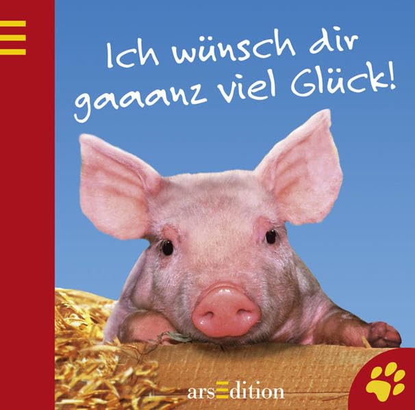 Product Image: Ich wünsch dir gaaanz viel Glück!