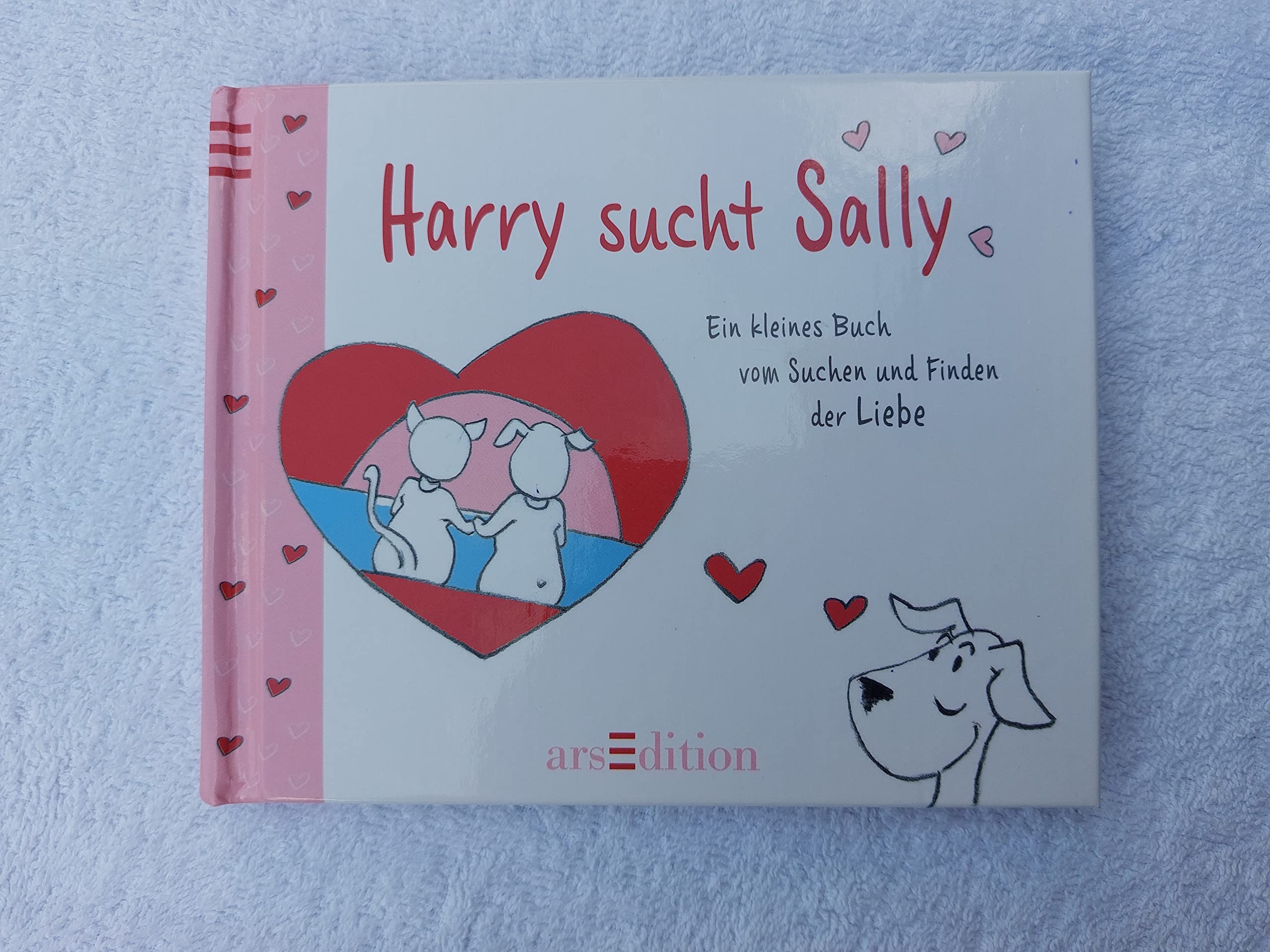 Harry sucht Sally / Sally sucht Harry: Ein kleines Buch vom Suchen und Finden der Liebe. Wendebuch Lifestyle