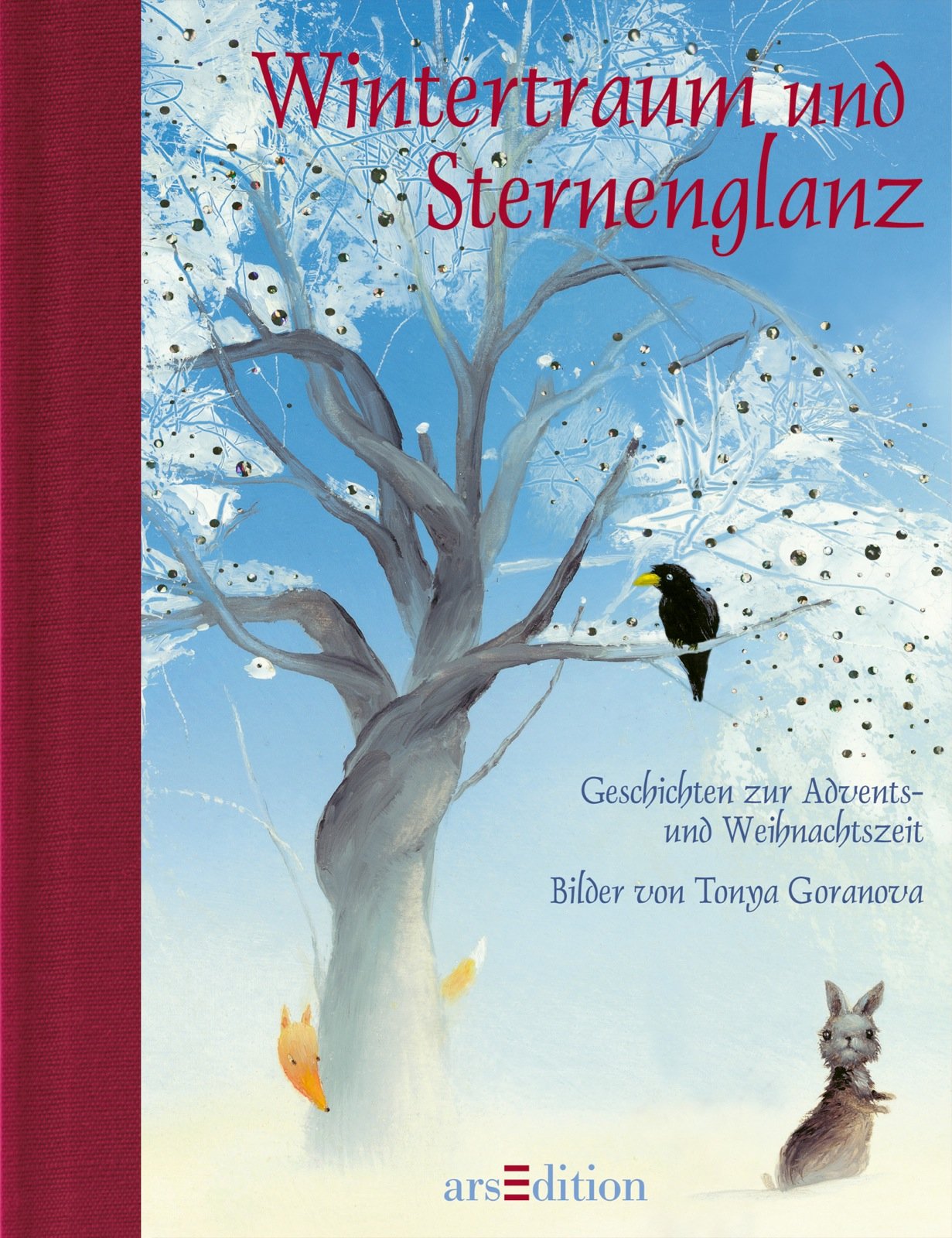 Wintertraum und Sternenglanz (Medi): Geschichten zur Advents- und Weihnachtszeit Children's books