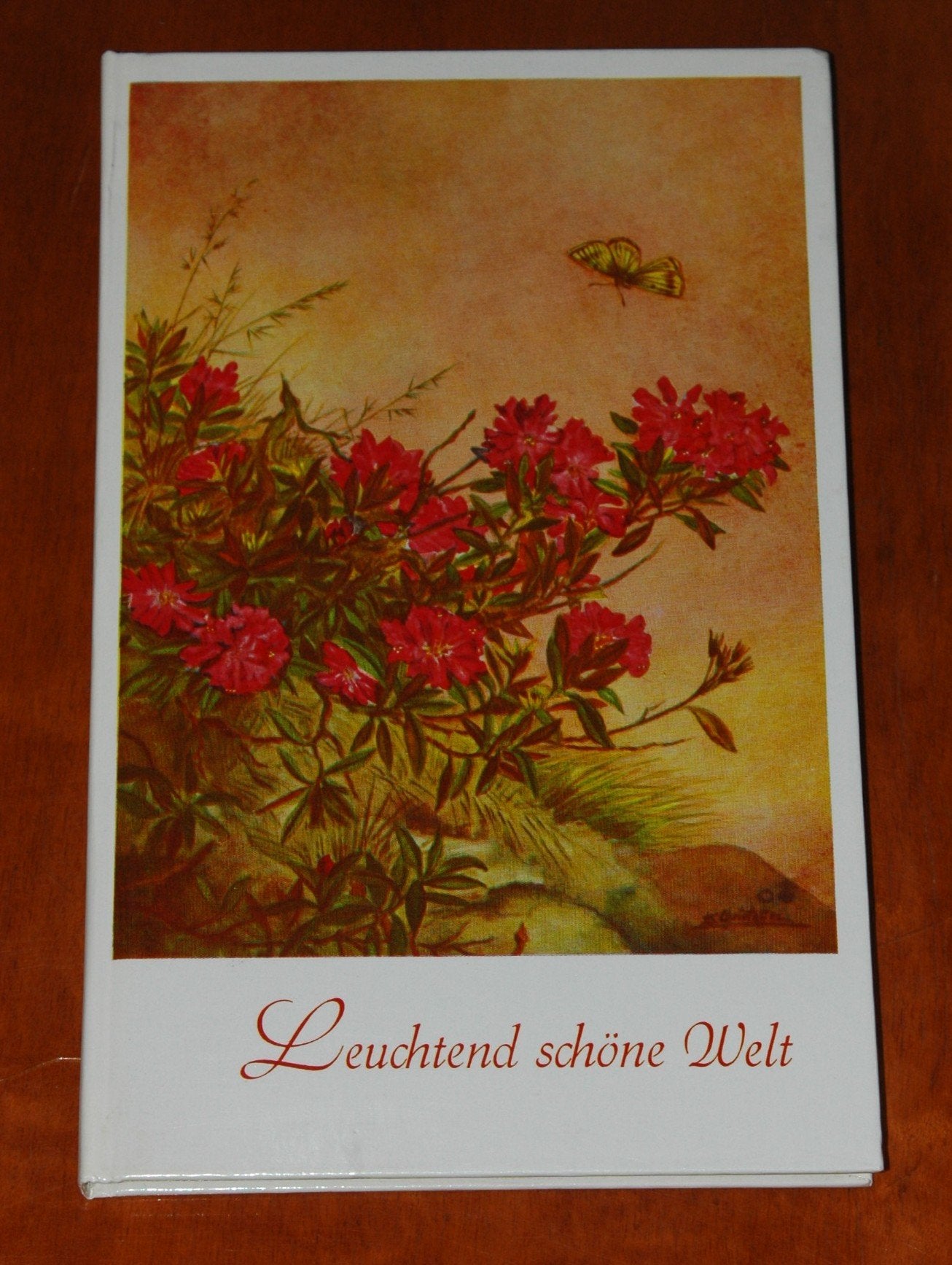Leuchtend schöne Welt (Geh aus mein Herz) Books