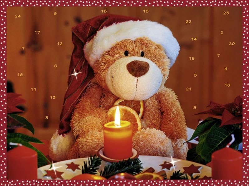 Bärige Weihnacht: Adventskalender (CALENDARI, Band 3280) Lifestyle