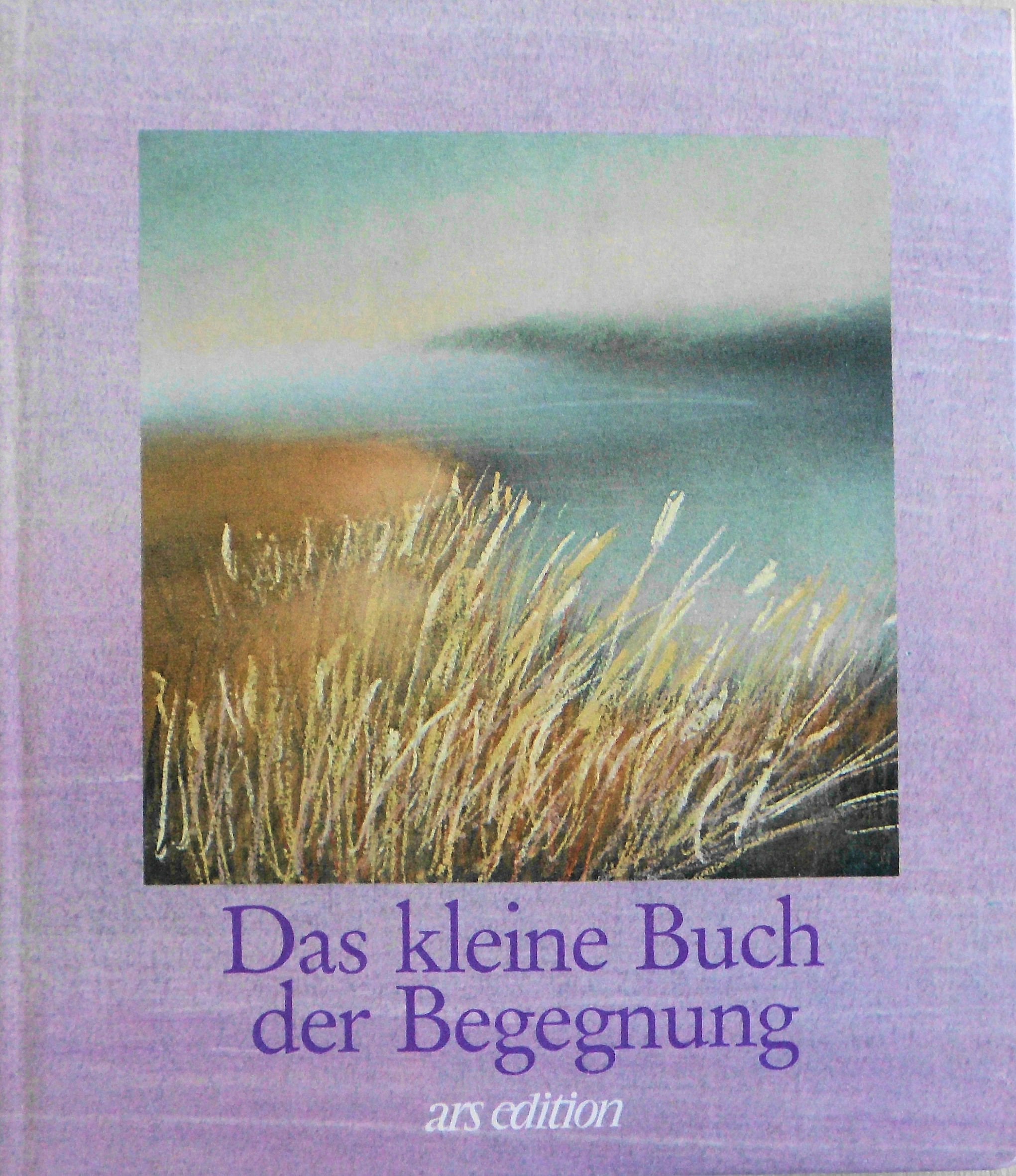 Das kleine Buch der Begegnung (Das kleine Buch zum Schenken) Books