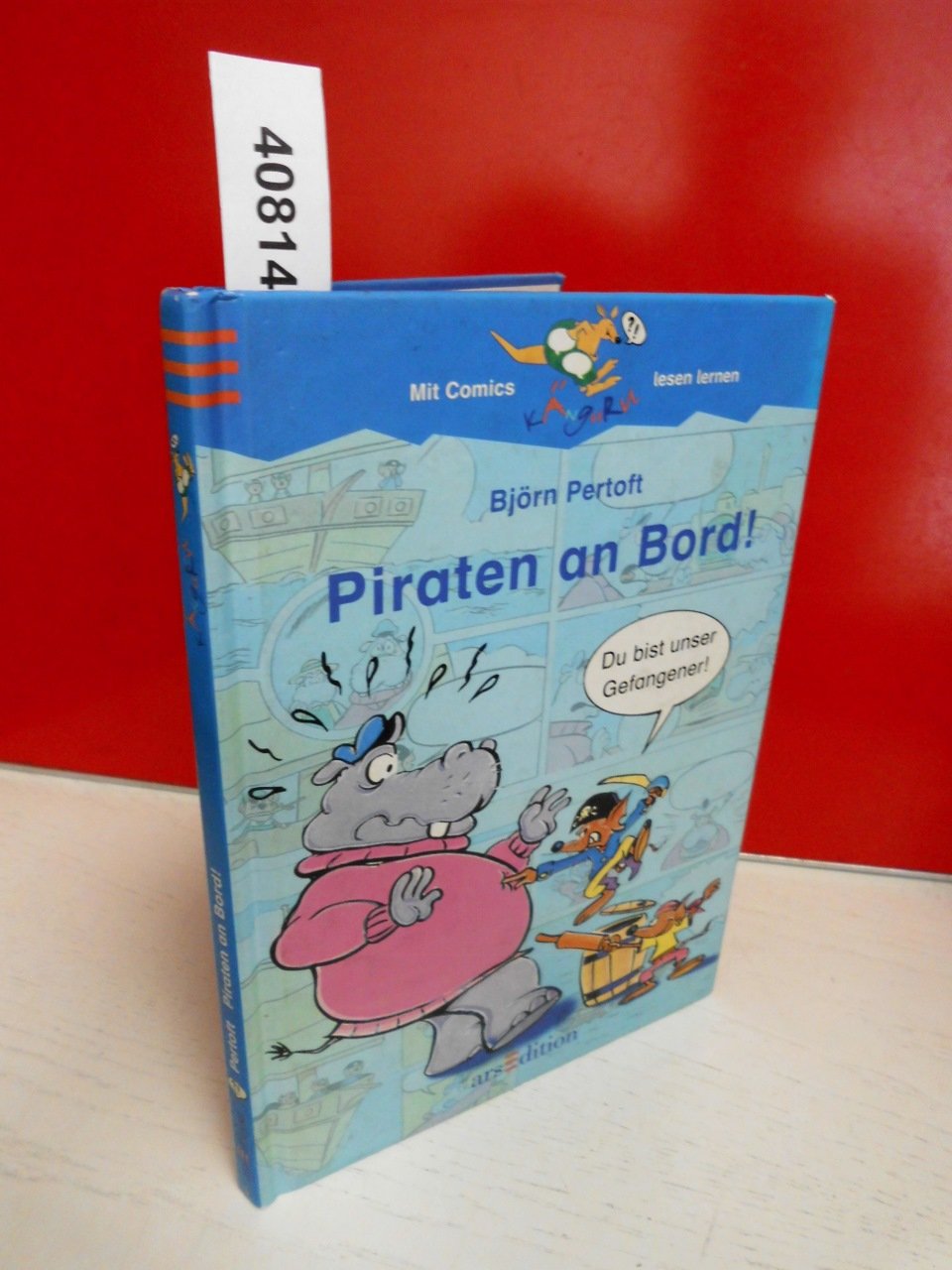 Piraten an Bord! (Känguru - Bildergeschichten zum Lesenlernen / Ab 6 Jahren) Study Guides