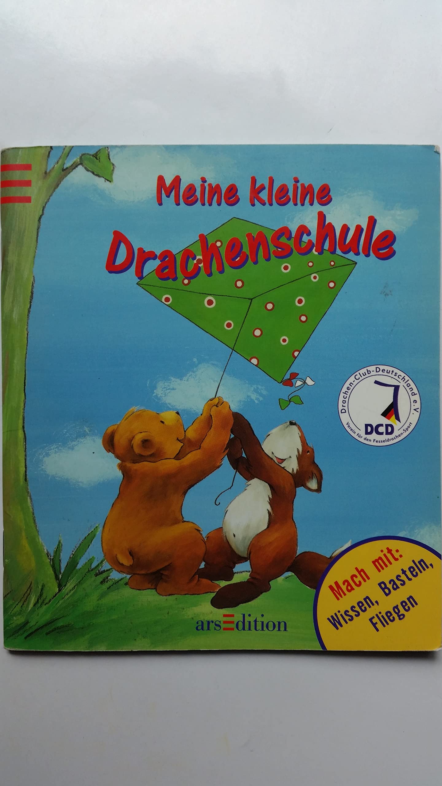 Meine kleine Drachenschule. Mach mit: Wissen - Basteln - Fliegen Leisure, Home & Garden