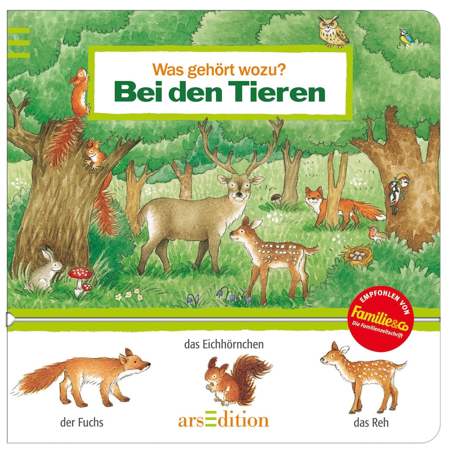 Was gehört wozu? Bei den Tieren Children's books