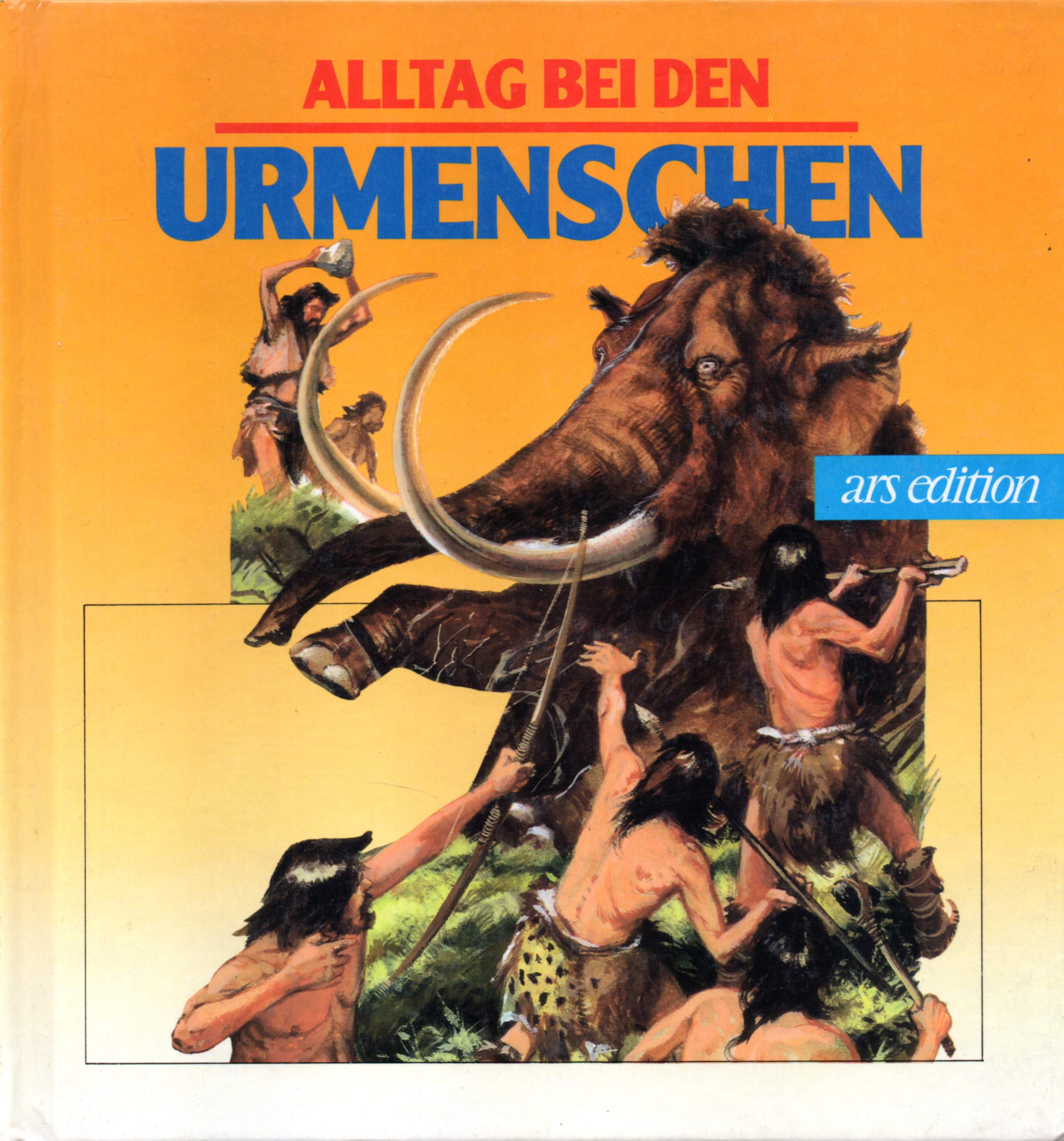 Alltag bei den Urmenschen (Alltag in der Geschichte) Books