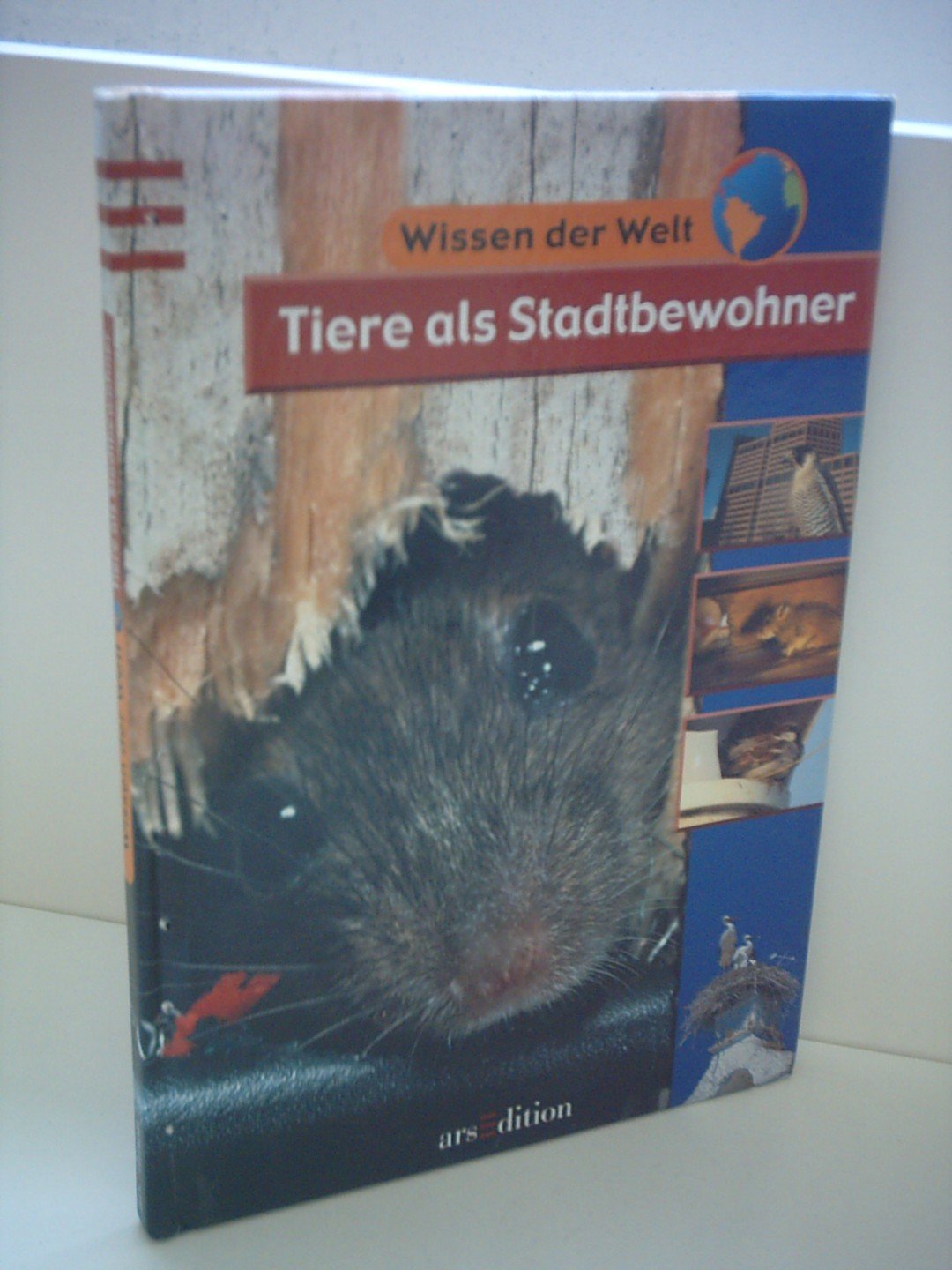 Tiere als Stadtbewohner (Wissen der Welt) Books