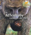 Ein Affenbaby entdeckt die Welt (Meine bunte Tierwelt) Books