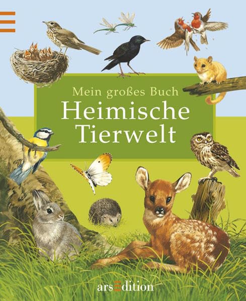 Product Image: Mein grosses Buch - Heimische Tierwelt