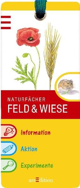 Product Image: Feld und Wiese: Naturfächer