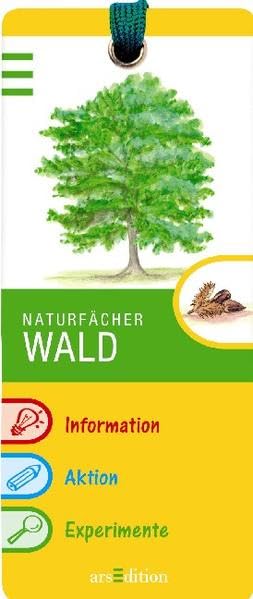 Wald (Naturfächer) Non-fiction books for kids