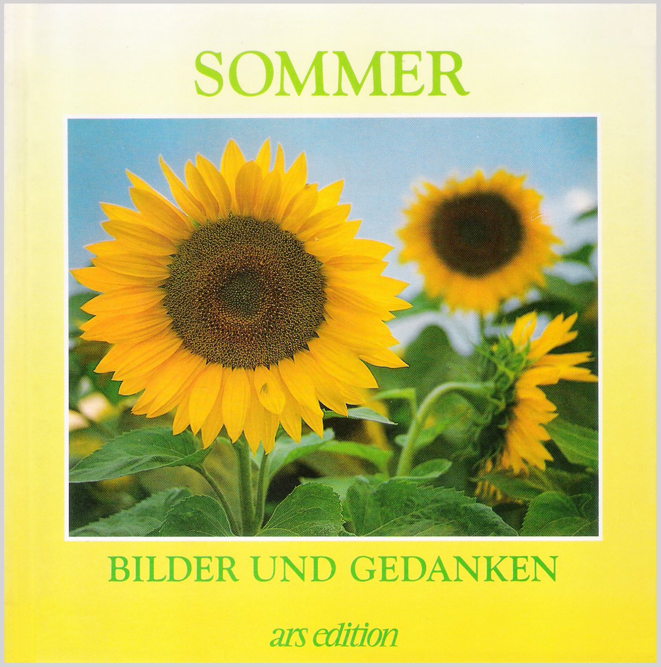 Sommer: Bilder und Gedanken Film, Art & Culture