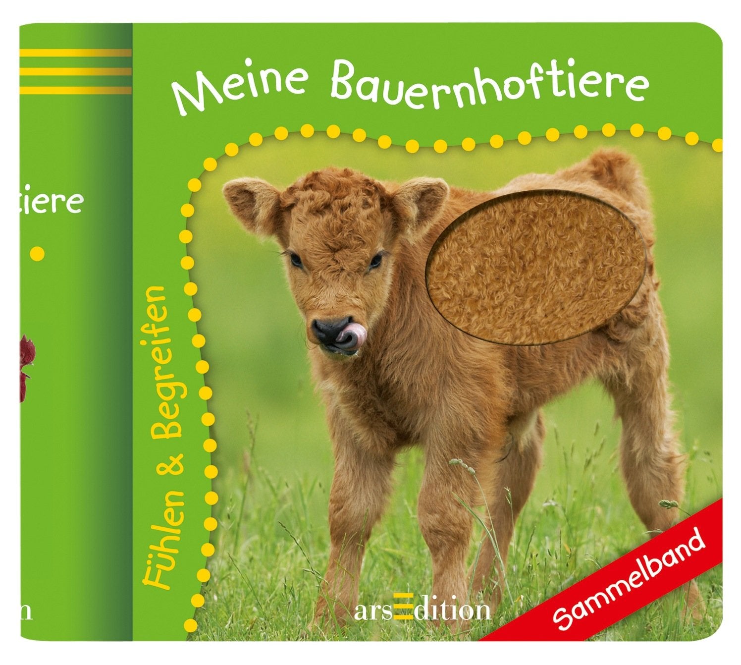 Meine Bauernhoftiere: Fühlen und Begreifen: Sammelband (Foto+Fühl) Children's books