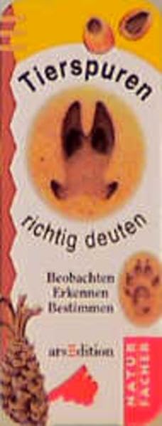 Naturfächer, Kartenfächer, Tierspuren richtig deuten, Kartenfächer Books