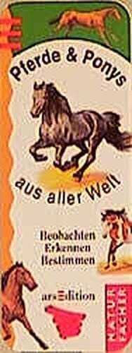 Naturfächer, Kartenfächer, Pferde & Ponys aus aller Welt, Kartenfächer Books