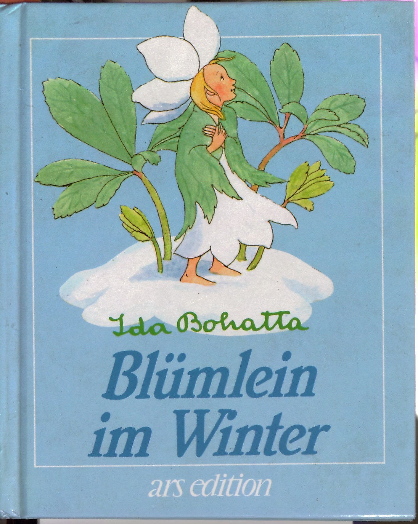 Blümlein im Winter (Bohatta-Bilderbücher) Books