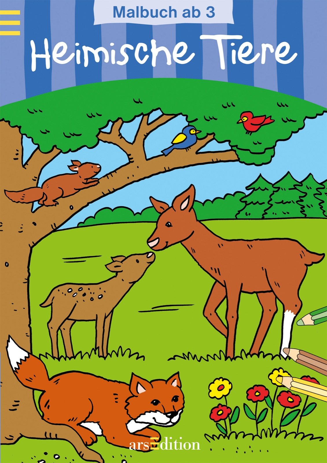 Malbuch ab 3 Jahren - Heimische Tiere Non-fiction