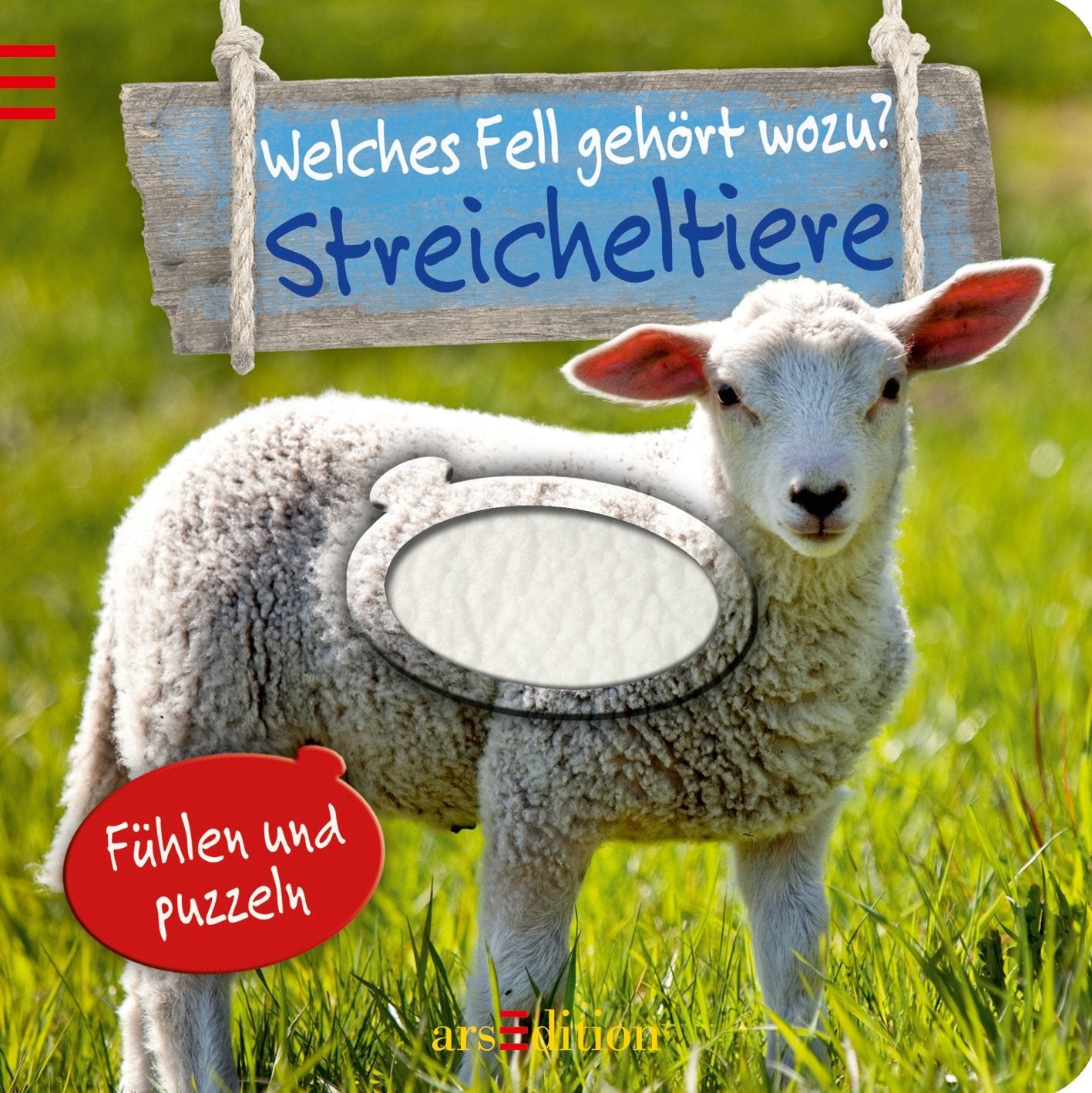 Streicheltiere: Welches Fell gehört wozu?: Fühlen und Puzzeln Children's books