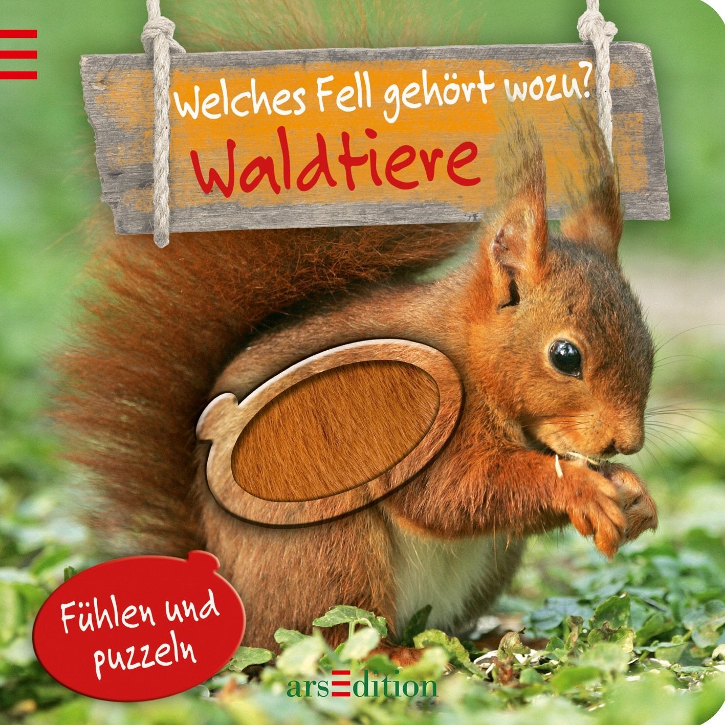 Waldtiere: Welches Fell gehört wozu?: Fühlen und puzzeln Children's books