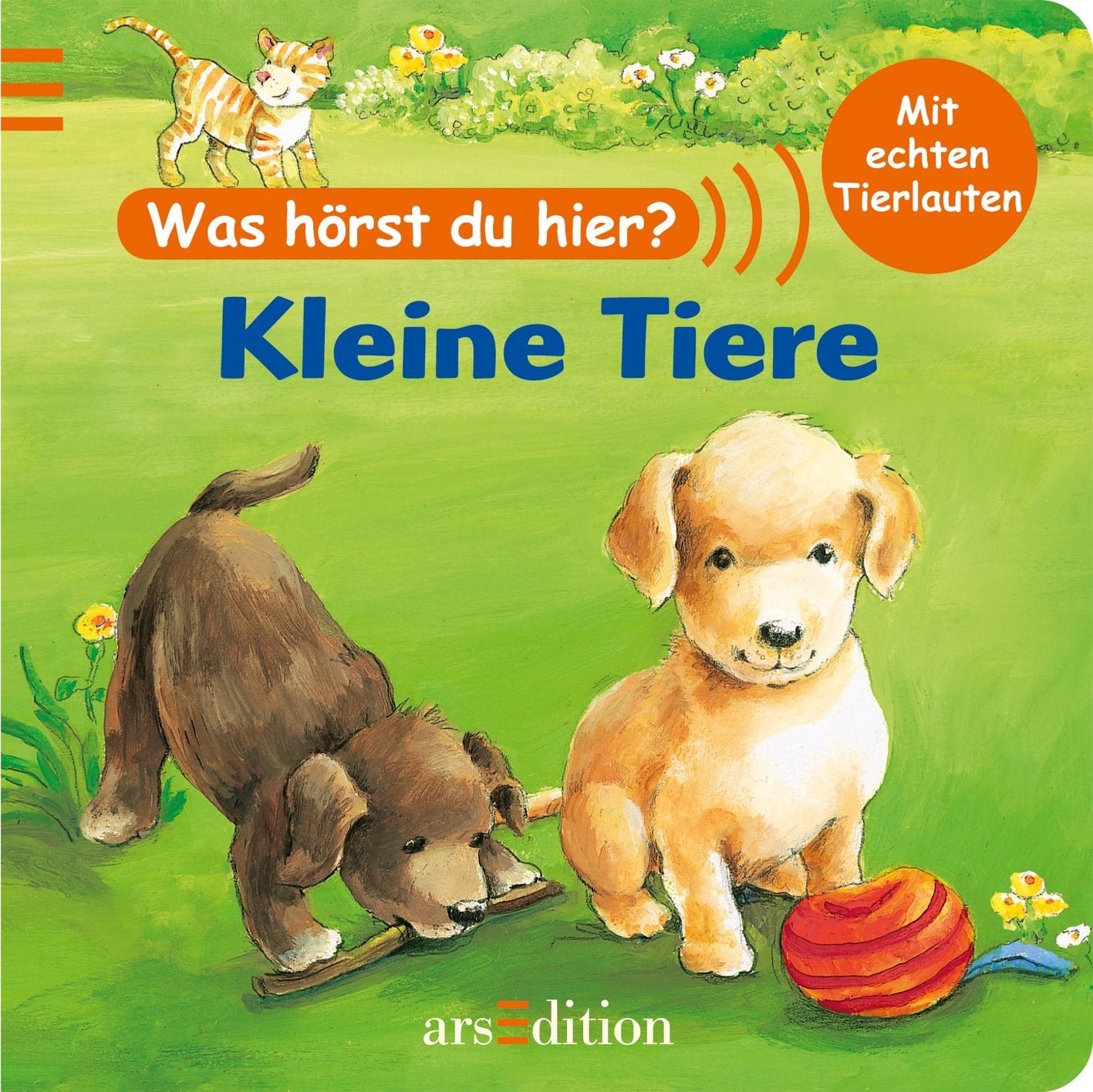 Was hörst du hier? Kleine Tiere: Mit echten Tierlauten Non-fiction