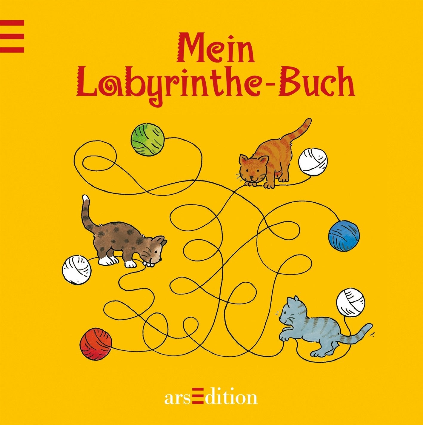 Mein Labyrinthe-Buch Non-fiction books for kids