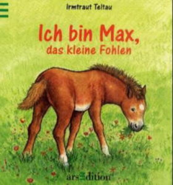 Ich bin Max, das kleine Fohlen Books