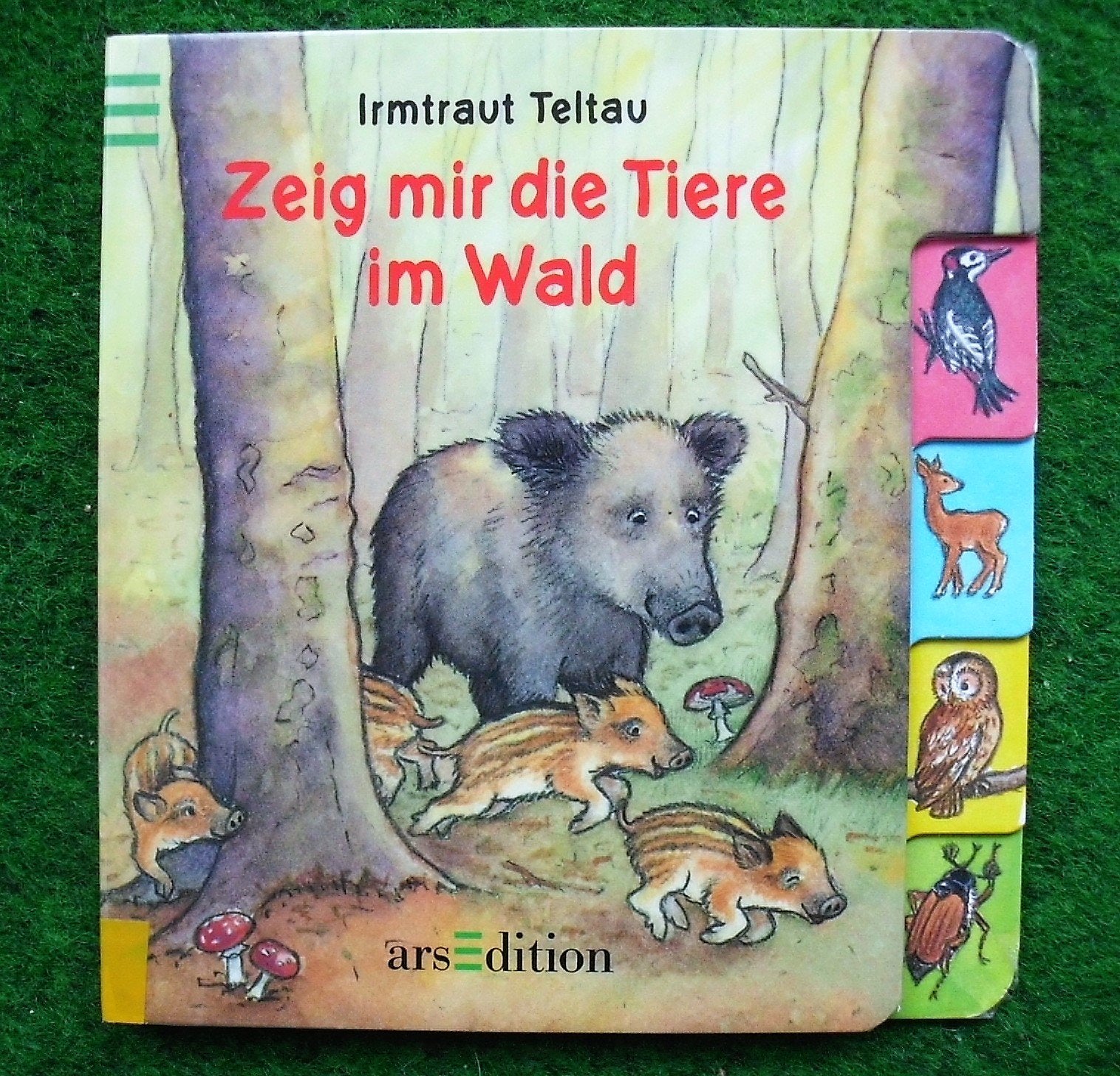 Zeig mir die Tiere im Wald Books