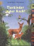 Product Image: Tierkinder der Nacht