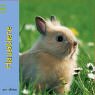 Haustiere Books